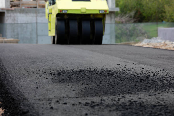 Best Driveway Repair Near Me  in Taylor, PA