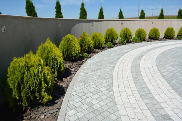 Best Best Driveway Pavers  in Taylor, PA
